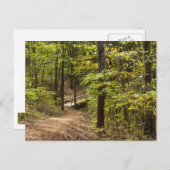 Carte postale Runway Pathway (Devant / Derrière)