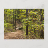 Carte postale Runway Pathway (Devant)