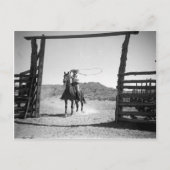 Carte Postale Rupture de cowboy (Devant)