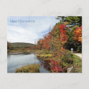 Carte Postale Rural New Hampshire Dirt Road Autumn Leaves