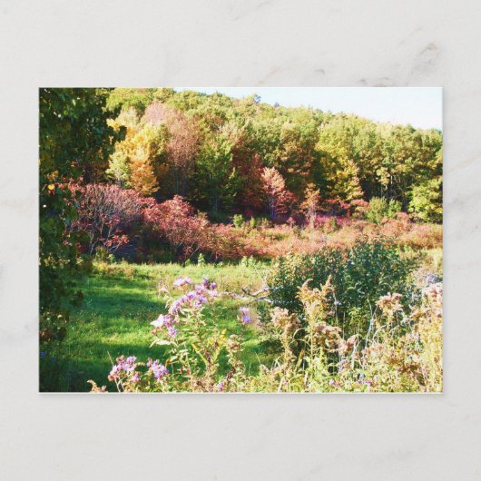 Carte postale RURAL NEW YORK (Devant)