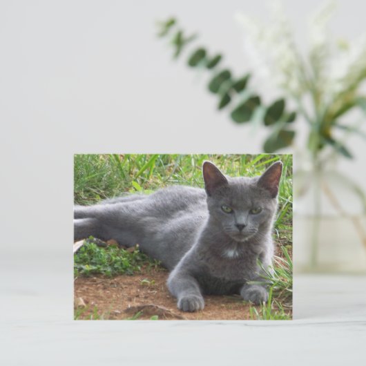 Carte Postale Russie Bleue, Natasha (Debout devant)