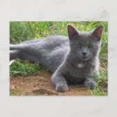 Carte Postale Russie Bleue, Natasha (Devant)