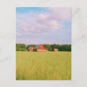 Carte Postale Rustic summer field, Helsingia, Sweden (Devant)