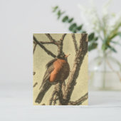 Carte Postale Rustic Tree branches Michigan State Bird Robin (Debout devant)