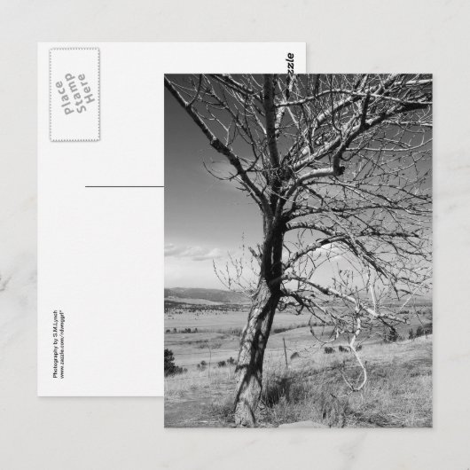 Carte Postale Rustique (Devant / Derrière)