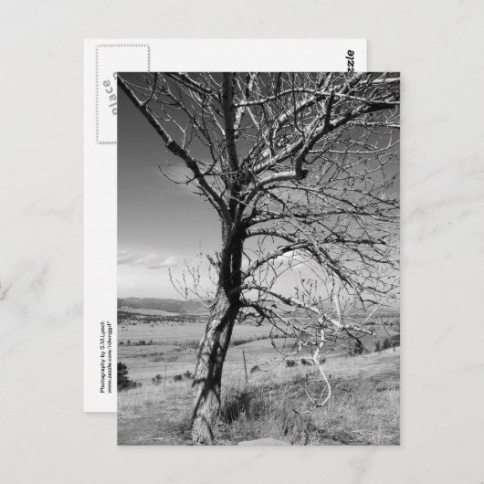 Carte Postale rustique (Devant / Derrière)