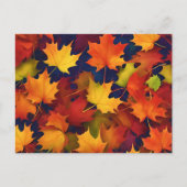 Carte Postale Rustique Fall Foliing (Devant)