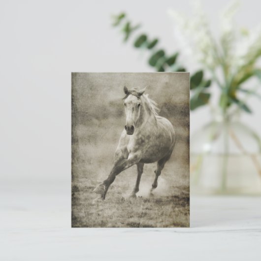Carte Postale Rustique Galloping Cheval andalou (Debout devant)