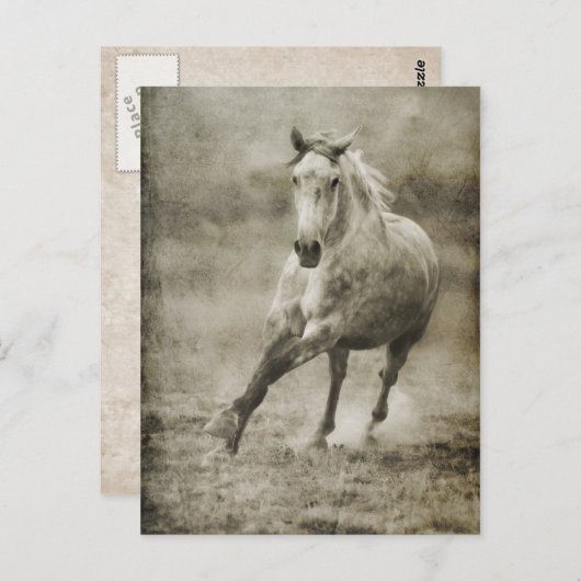 Carte Postale Rustique Galloping Cheval andalou (Devant / Derrière)