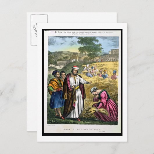 Carte Postale Ruth in the Field of Boaz, tiré d'une bible imprim (Devant / Derrière)