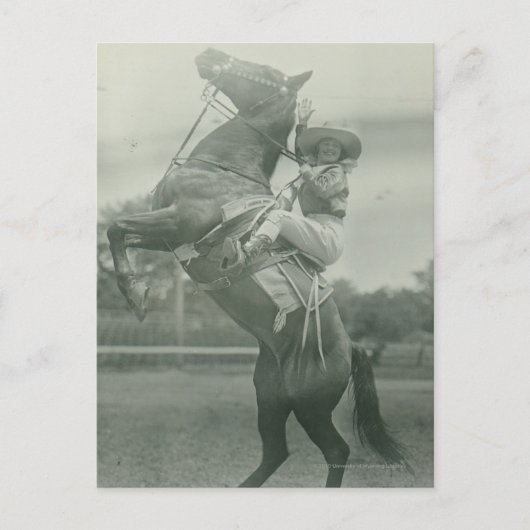 Carte Postale Ruth Roach sur Tony, Cheyenne, Wyoming. (Devant)