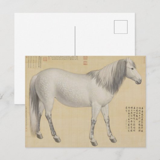 Carte Postale Ruyi cong("As-You-Wish" Piebald) Art (Devant / Derrière)
