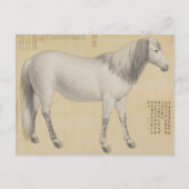 Carte Postale Ruyi cong("As-You-Wish" Piebald) Art (Devant)
