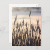 Carte Postale Rye Grossissant grand au coucher du soleil (Devant / Derrière)