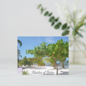 Carte Postale Rythme du Belize (Debout devant)