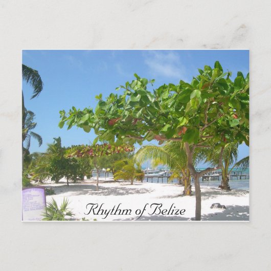 Carte Postale Rythme du Belize (Devant)