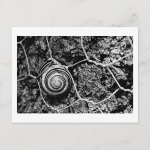 Carte Postale rythme effréné