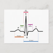 Carte Postale Rythme sinus dans un diagramme ECG d'électrocardio (Devant)
