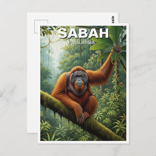 Carte Postale Sabah Malaysia Orangutan Travel (Devant / Derrière)