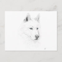Saber Un Husky Sibérien Dessin D'Oeil Bleu Art