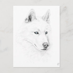 Carte Postale Saber Un Husky Sibérien Dessin D'Oeil Bleu Art