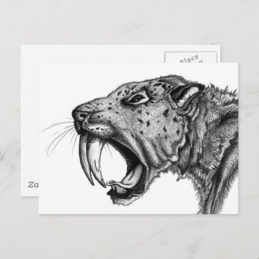 Carte Postale sabertoothPENCIL (Devant / Derrière)