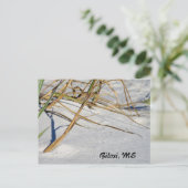 Carte Postale Sable blanc avec herbe (Debout devant)