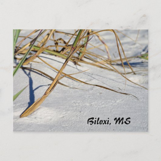 Carte Postale Sable blanc avec herbe (Devant)