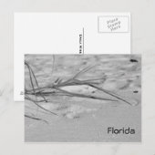 Carte Postale Sable de Floride (Devant / Derrière)