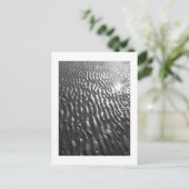 Carte postale Sable De Plage (Debout devant)