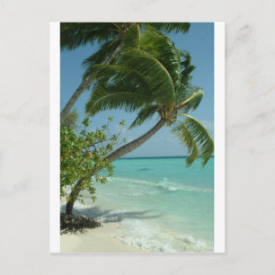 Carte Postale Sable de plage tropical soleil eau océan vagues su