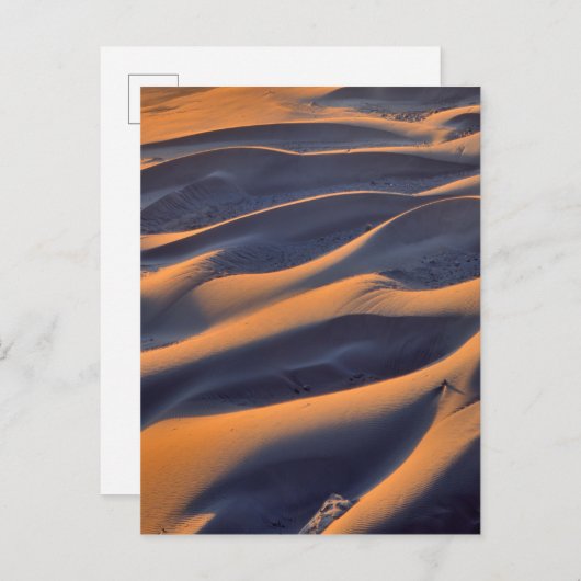 Carte Postale Sable Dune (Devant / Derrière)