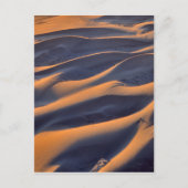 Carte Postale Sable Dune (Devant)