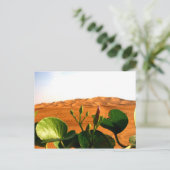 Carte Postale Sable et fleurs en Dubaï, Émirats Arabes Unis (Debout devant)