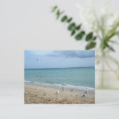 Carte Postale Sable et mouettes (Debout devant)