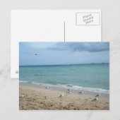 Carte Postale Sable et mouettes (Devant / Derrière)