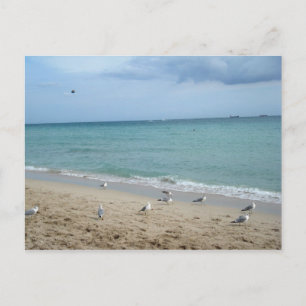 Carte Postale Sable et mouettes