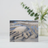 Carte Postale Sable humide (Debout devant)