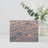 carte postale sable ondulée (Debout devant)