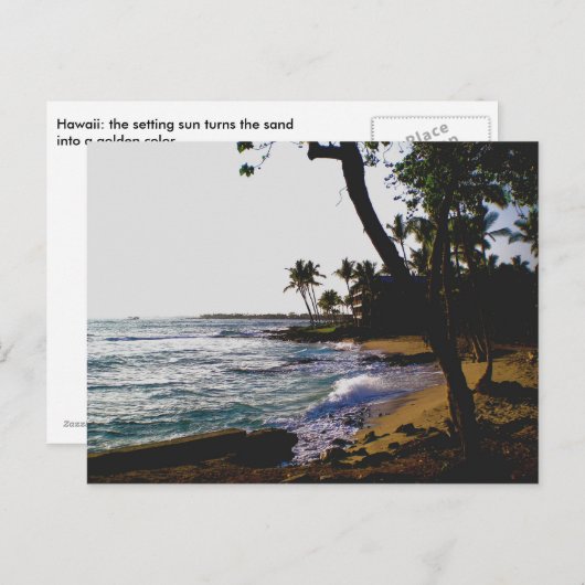 Carte Postale Sable Tropical Doré (Devant / Derrière)