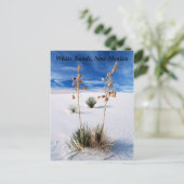 Carte Postale Sables blancs (Debout devant)