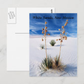 Carte Postale Sables blancs (Devant / Derrière)