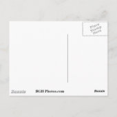 Carte Postale Sables blancs (Dos)