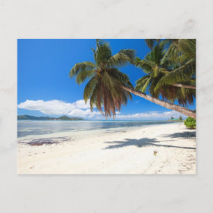 Carte Postale Sables blancs