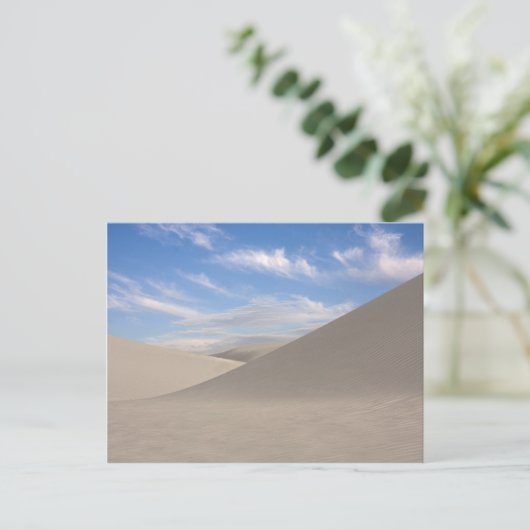 Carte Postale Sables désertiques (Debout devant)