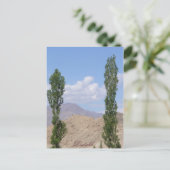 Carte Postale Saboo Ayu. Ladakh (Debout devant)