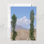 Carte Postale Saboo Ayu. Ladakh (Devant / Derrière)