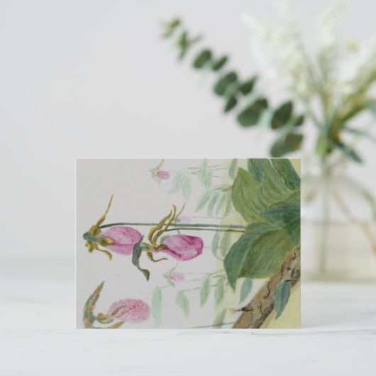 Carte postale Sabot de la Vierge (Debout devant)