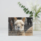 Carte Postale Sac Apaca (Debout devant)